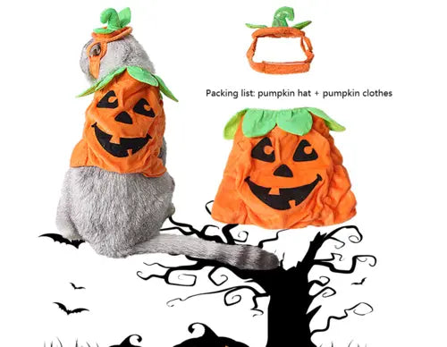 Pumpkin Costume Maroon Asteria