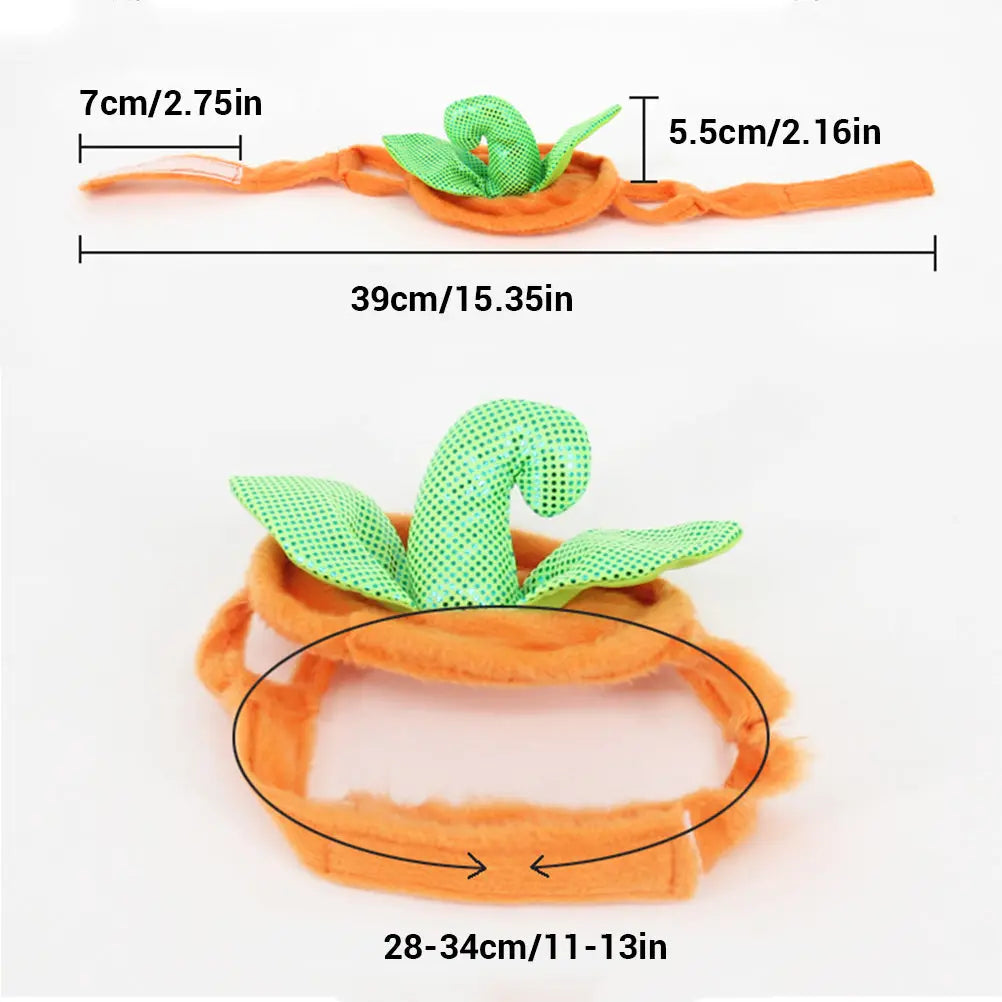 Pumpkin Costume Maroon Asteria