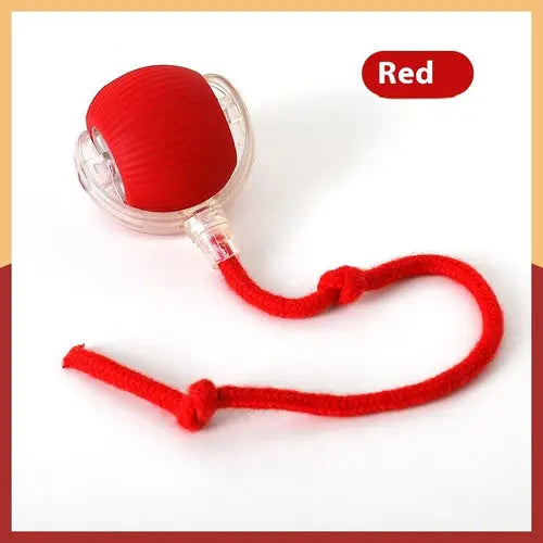 Interactive Cat Ball Toy Crimson Medea