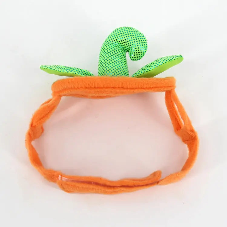 Pumpkin Costume Maroon Asteria