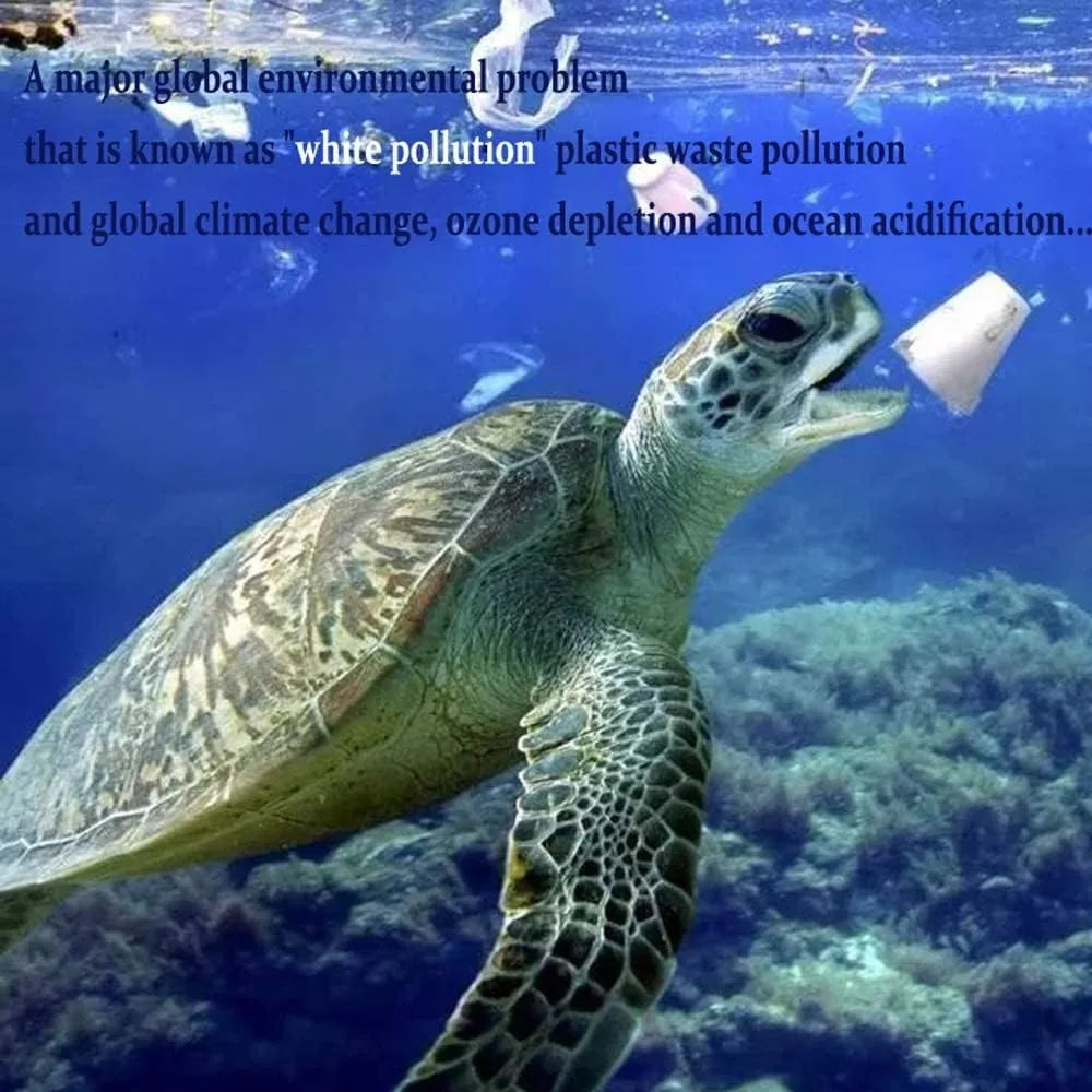 Biodegradable Shipping Bags