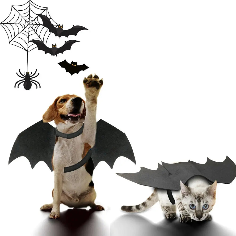 Halloween Bat Wings Costume Yellow Pandora