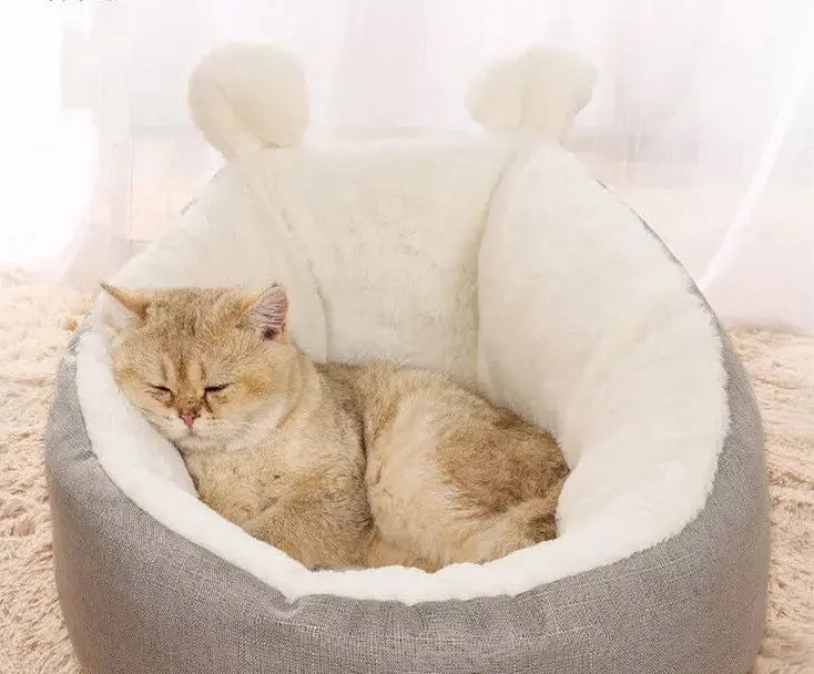 Cat Bed Teal Zeus