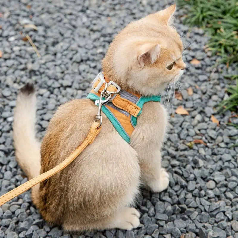 Adjustable Cat Harness With Leash Set Reflective Vest Pet Harnesses Teal Simba