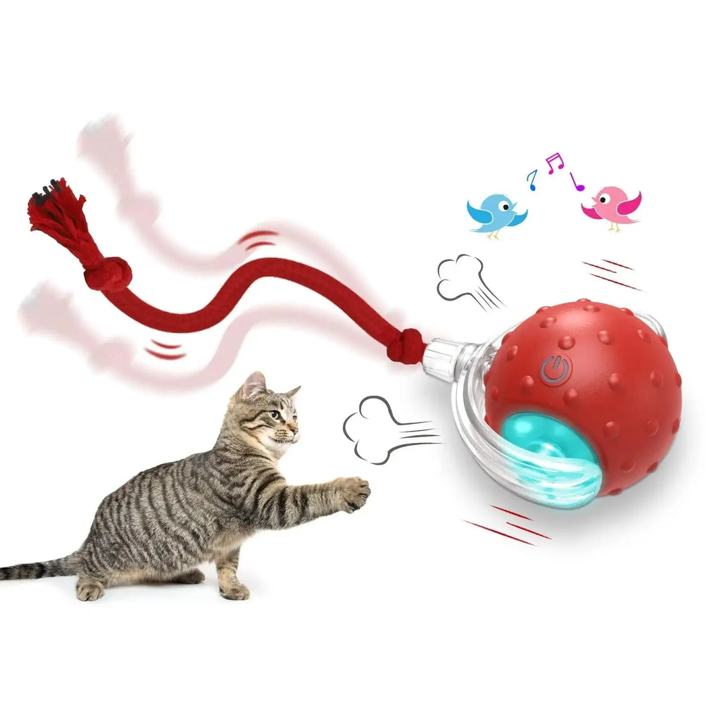 Interactive Cat Ball Toy Crimson Medea